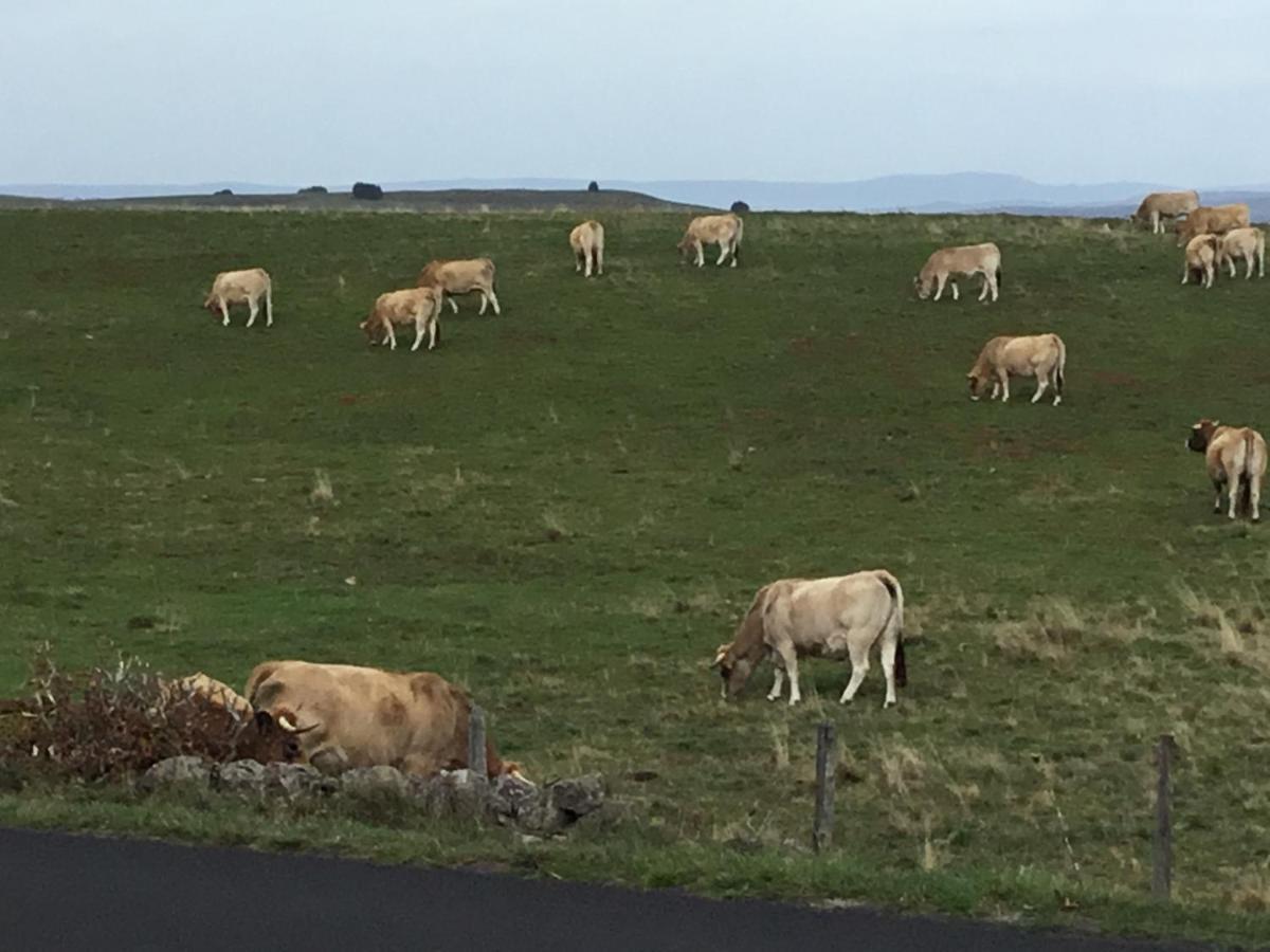 라귀올르 Lo Vedelier D'Aubrac 아파트 외부 사진